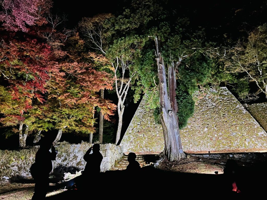 Takatori castle night tour