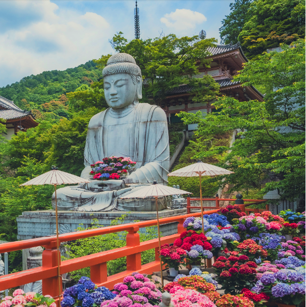 Tsubosaka-dera temple