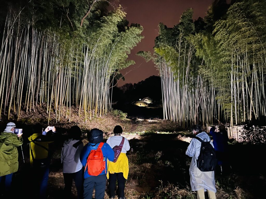 Tumulus night tour