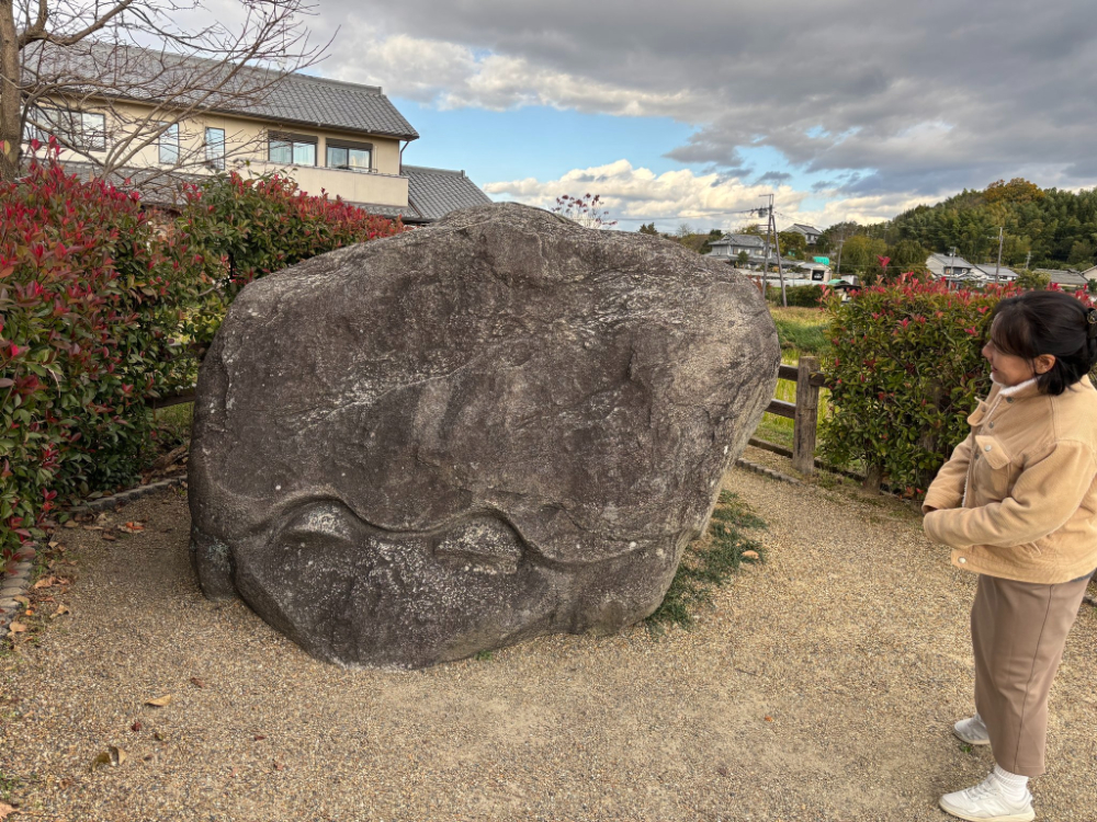 Piedra de tortuga