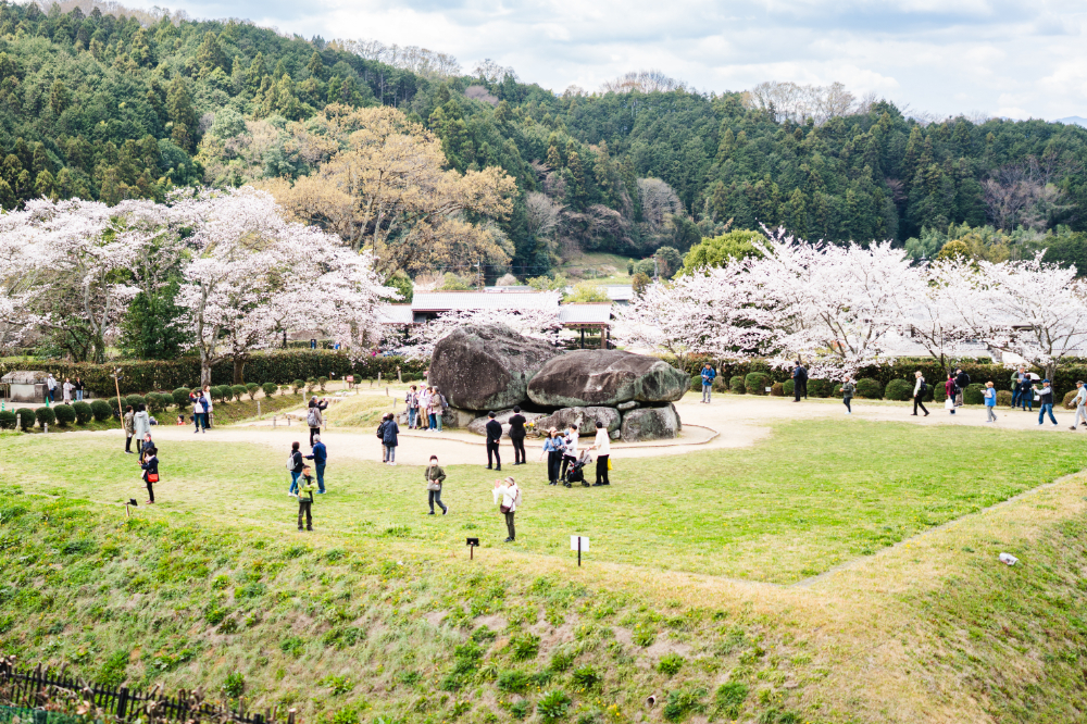 Discover the Cradle of Japanese History (History) image