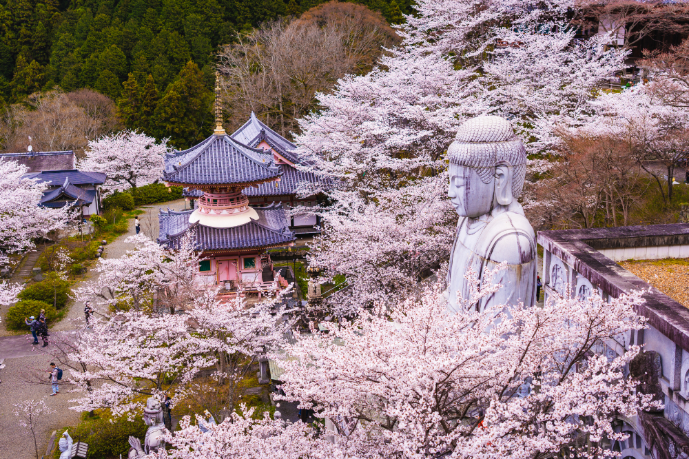 Tsubosaka-dera temple