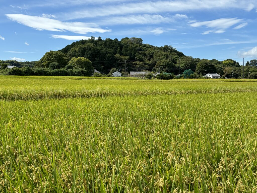 Amakashi-no-oka-Hill