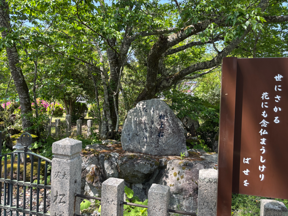 Sesonji temple