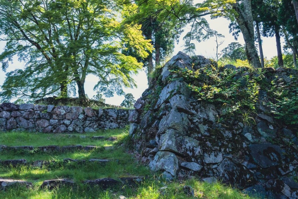 Sunlight filtering through trees over moss-covered castle ruins in Takatori