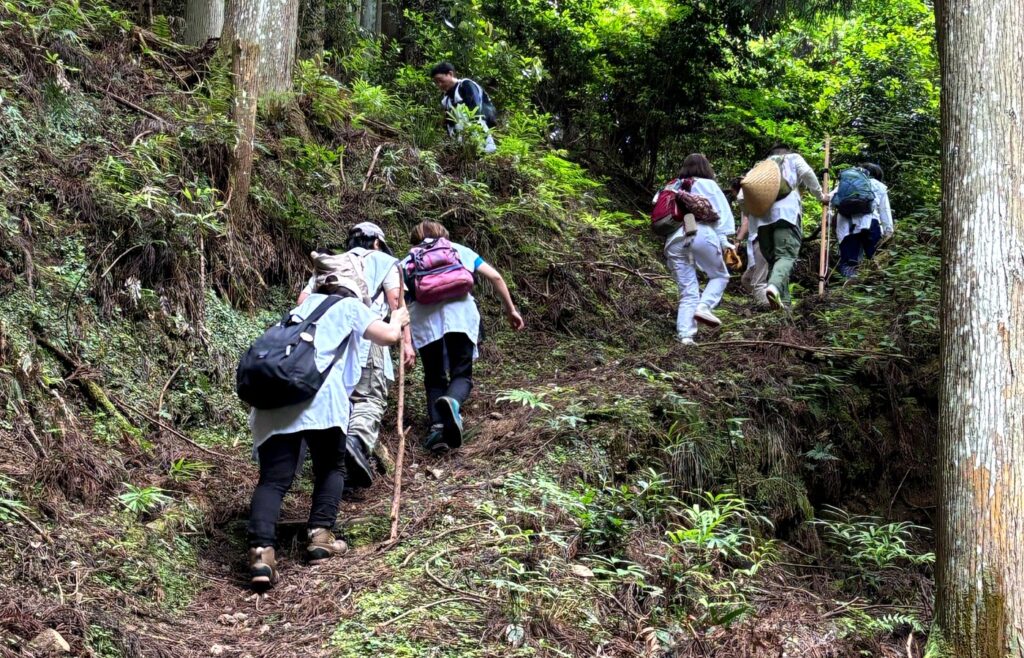 Viajeros caminando con un guía local por un sendero de bosque de cedros en Yoshino durante un tour de naturaleza