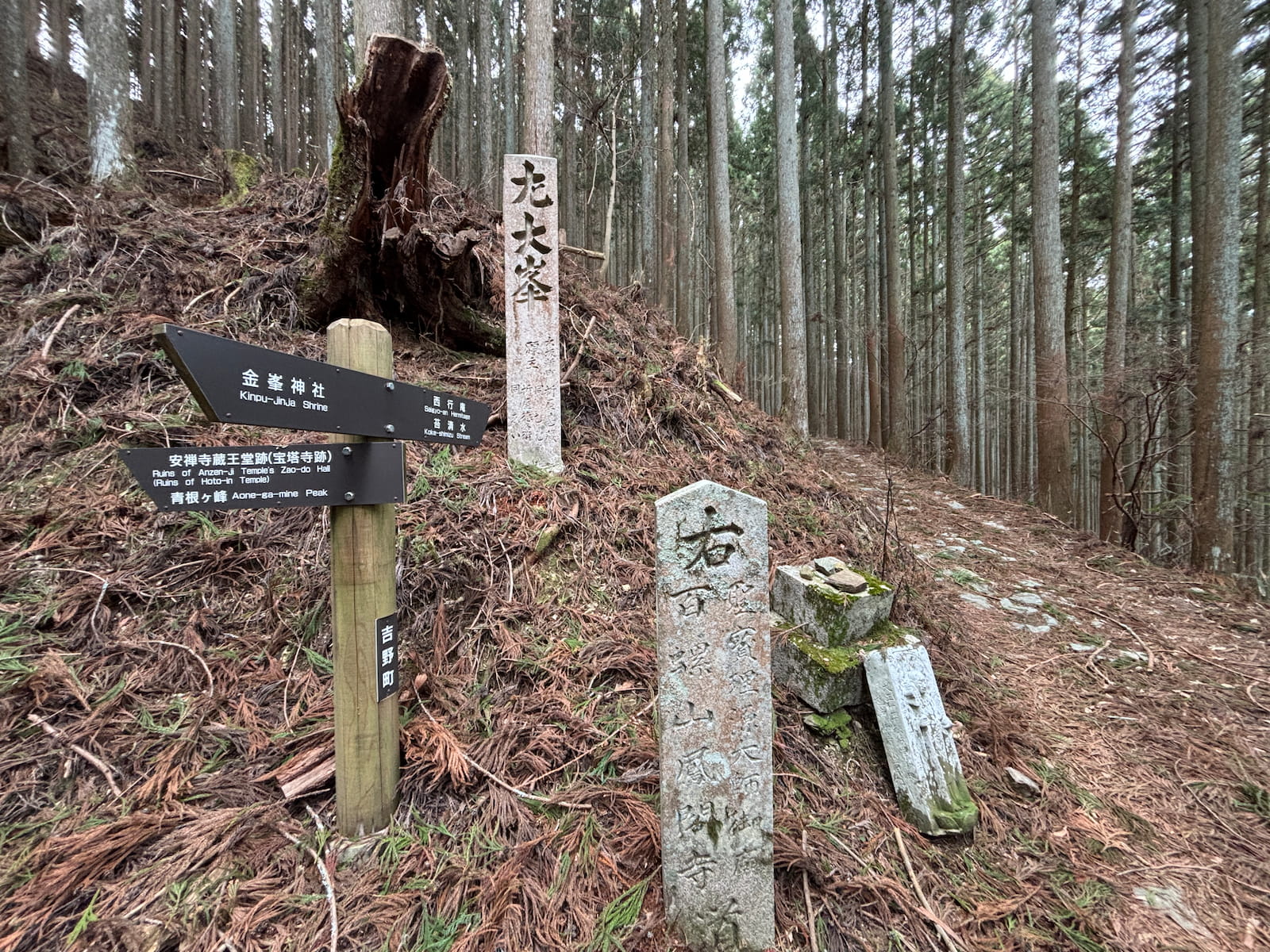 The Spiritual Landscape of Yoshino